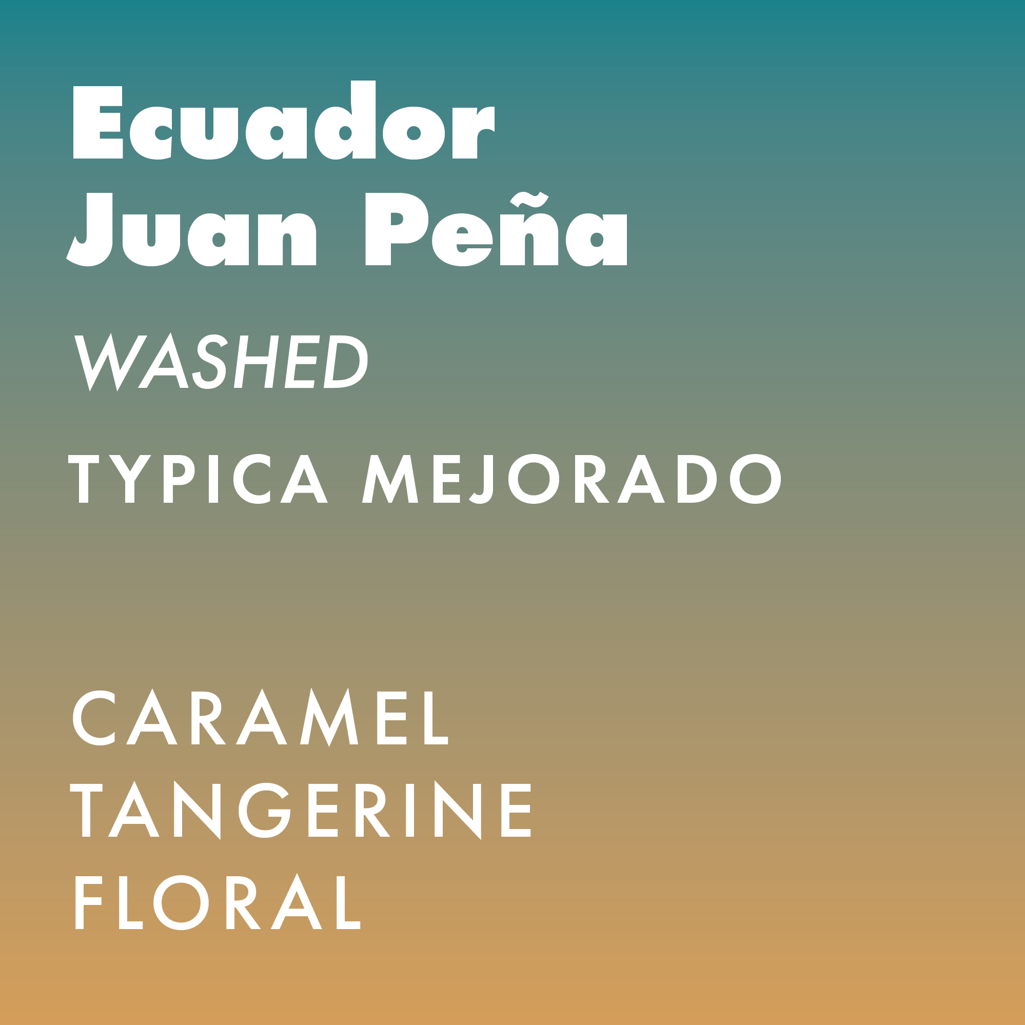 Ecuador Hacienda La Papaya - Washed Typica – DUNE COFFEE ROASTERS