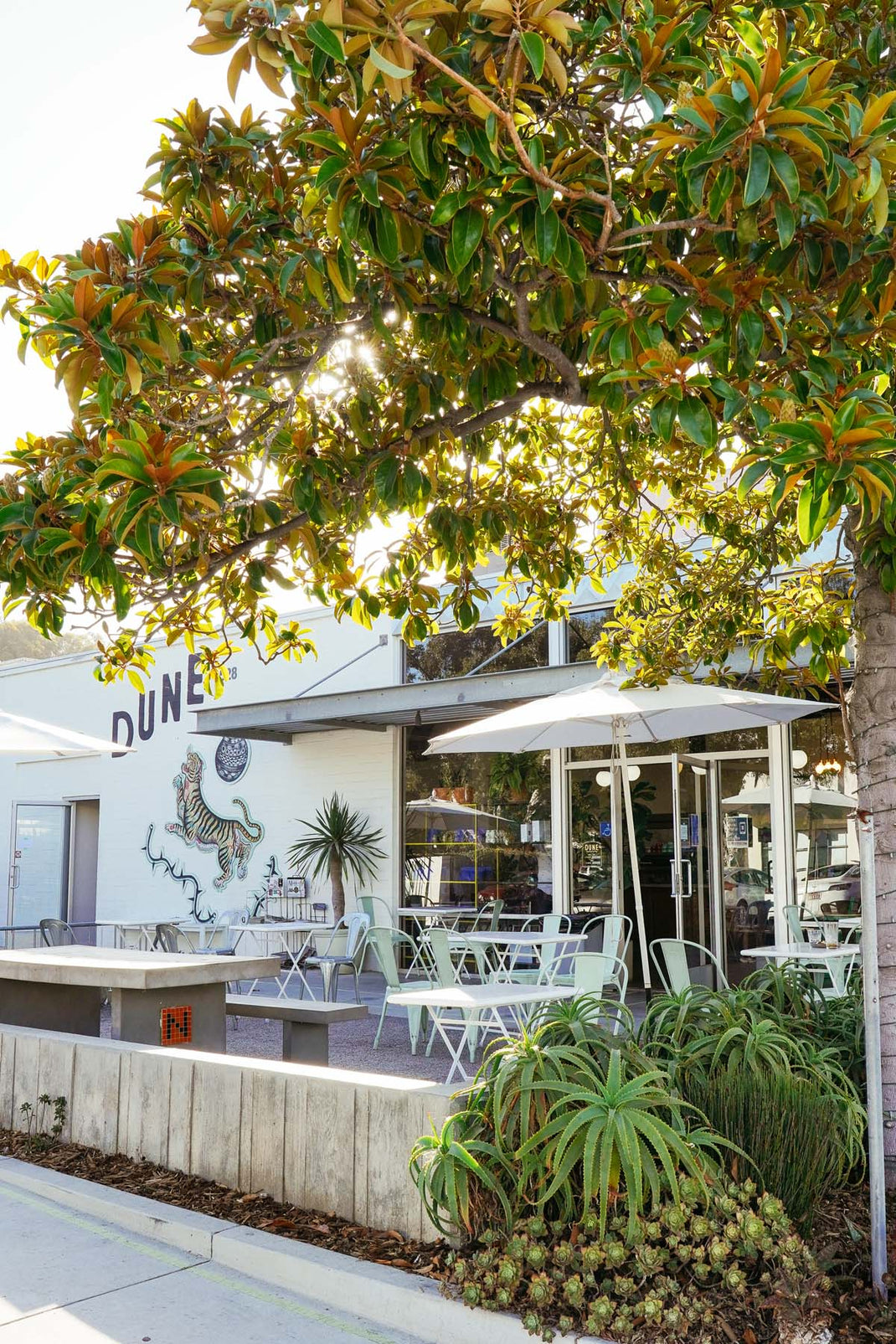 Dune Coffee Roasters DUNE COFFEE ROASTERS