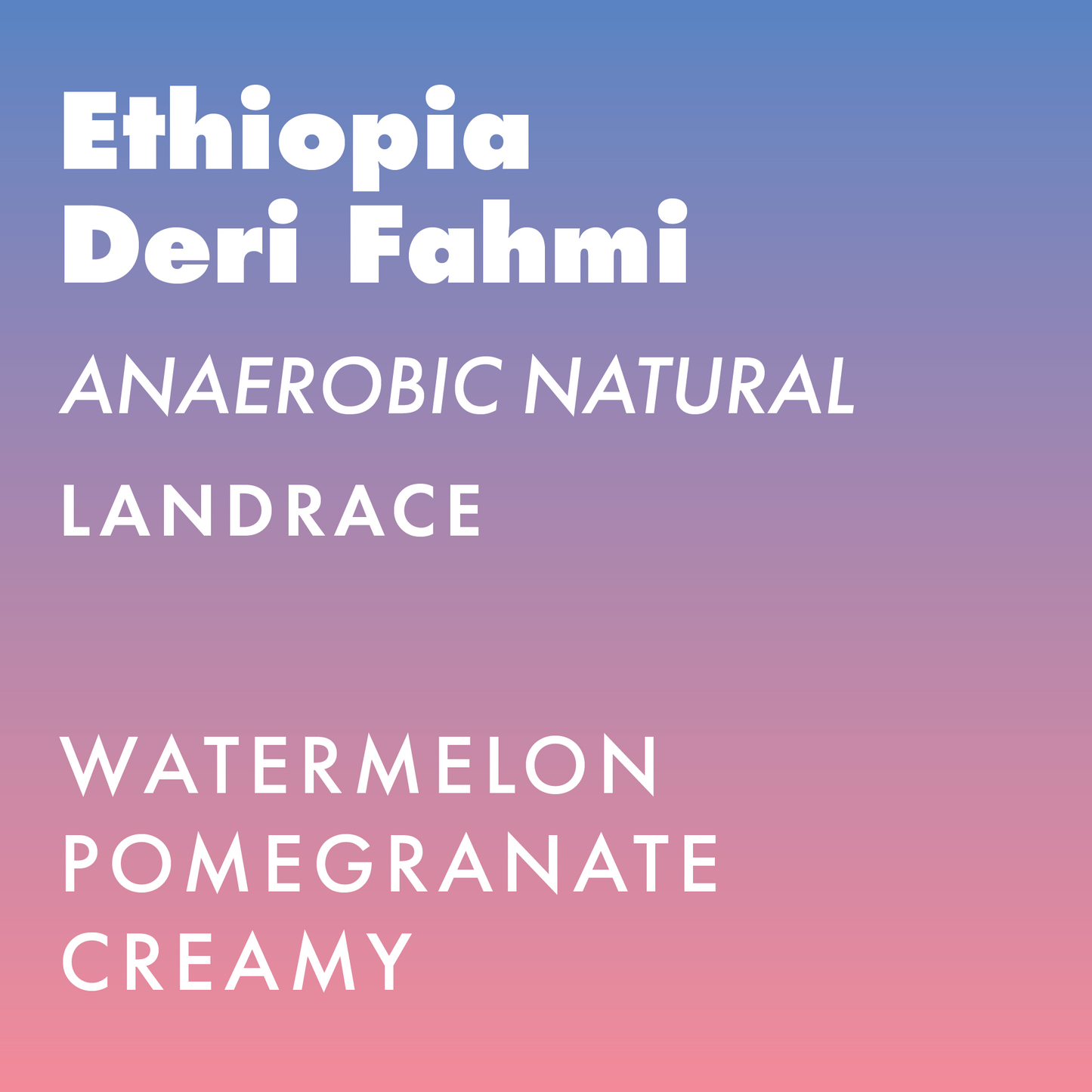 Ethiopia Deri Fahmi