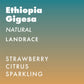 Ethiopia Gigesa