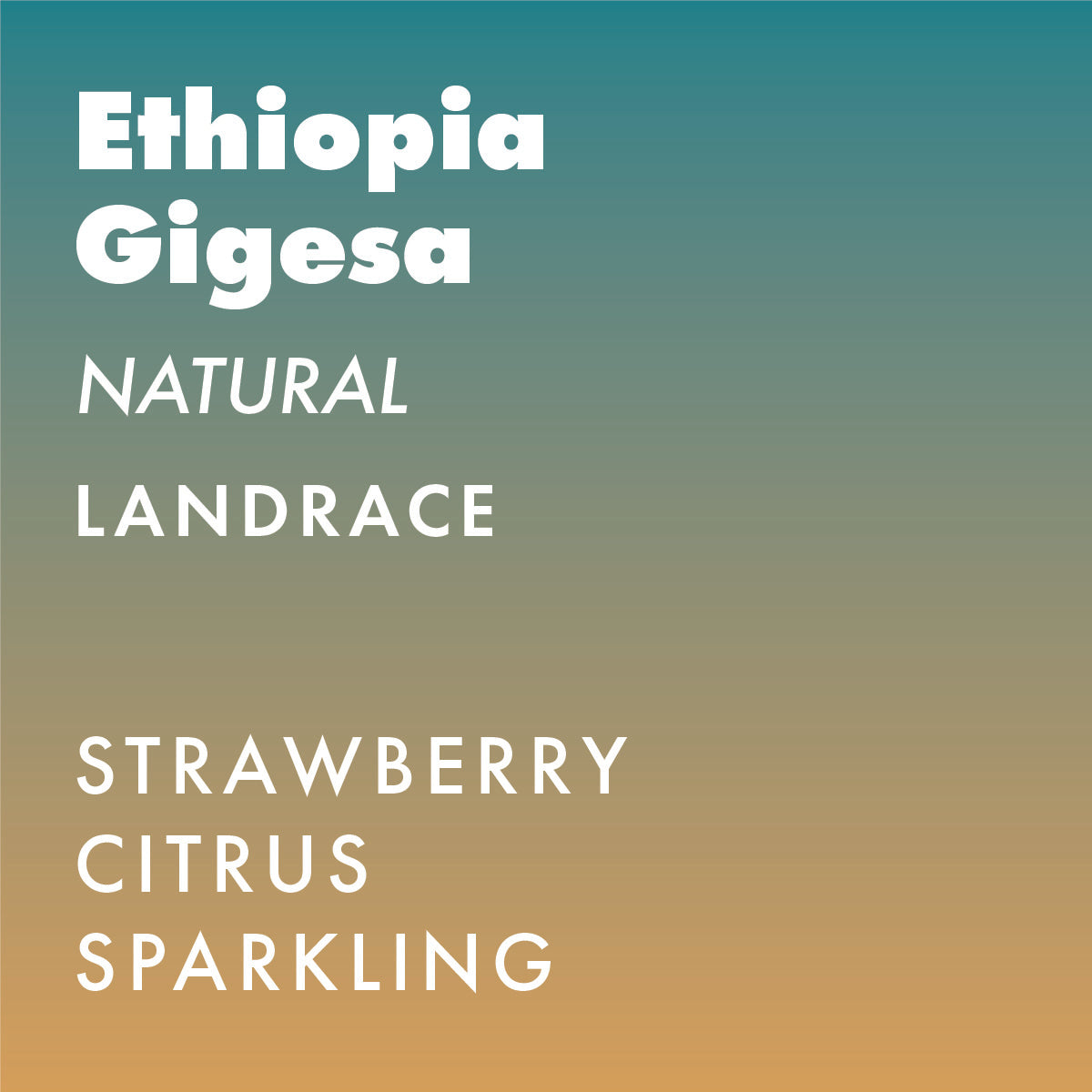 Ethiopia Gigesa