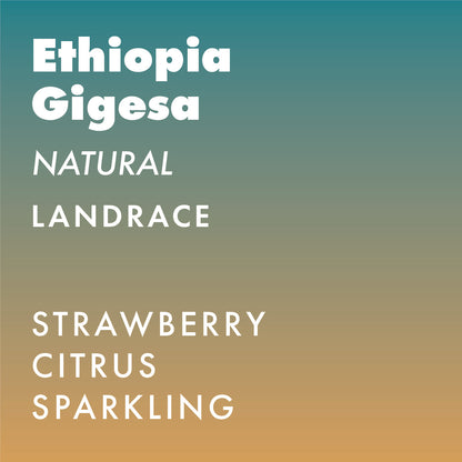 Ethiopia Gigesa