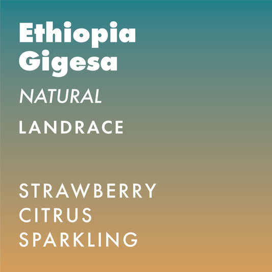 Ethiopia Gigesa