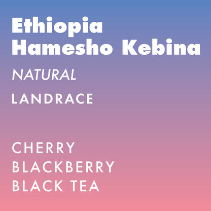 Ethiopia Hamesho Kebina