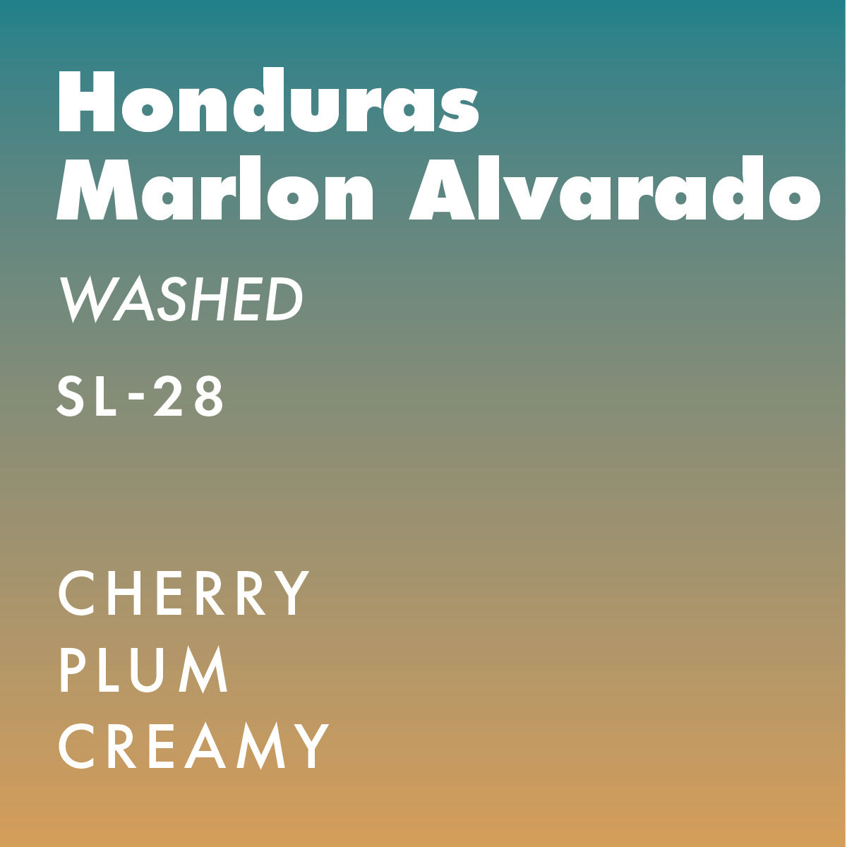 Honduras Marlon Alvarado