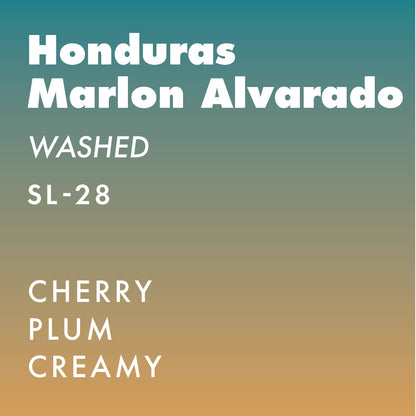 Honduras Marlon Alvarado