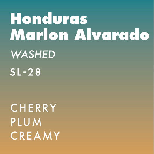 Honduras Marlon Alvarado