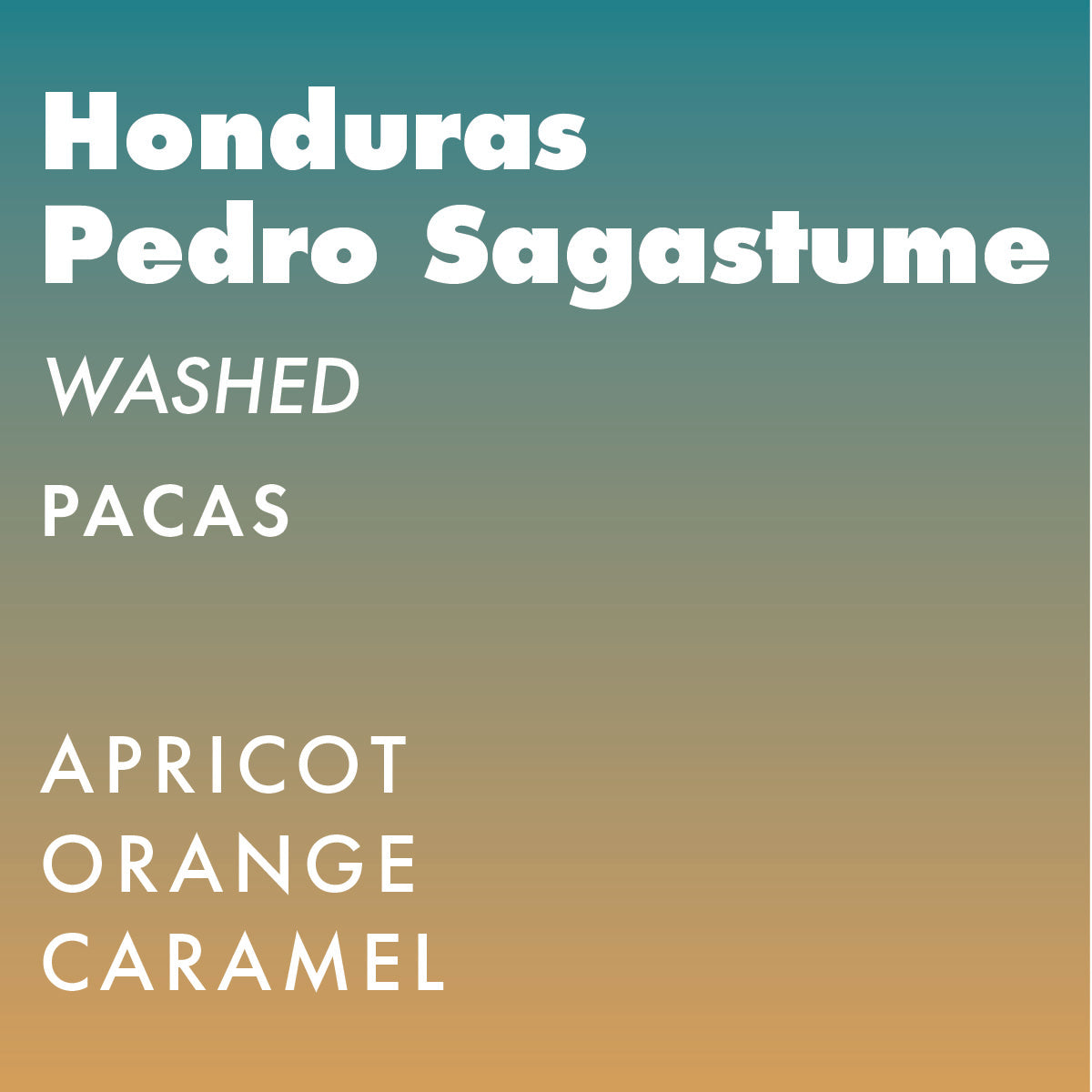 Honduras Pedro Sagastume