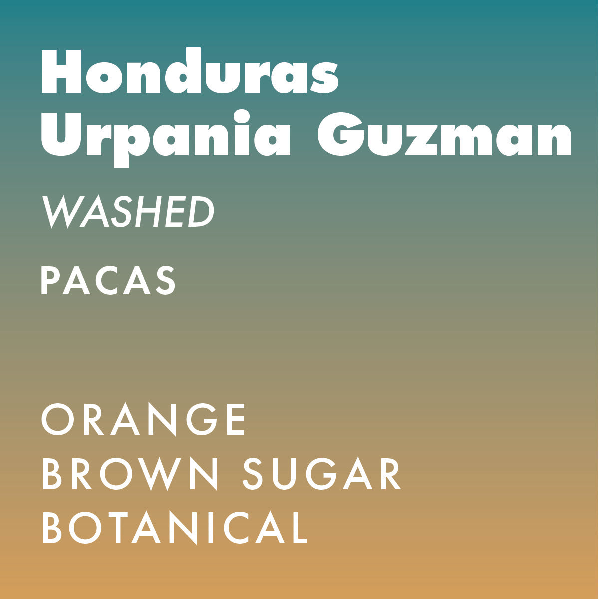 Honduras Urpania Guzman Pacas