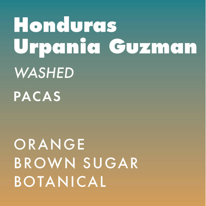 Honduras Urpania Guzman Pacas