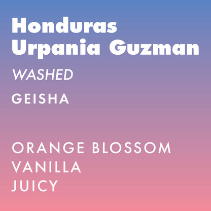 Honduras Urpania Guzman Geisha