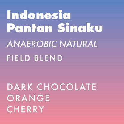 Indonesia Pantan Sinaku