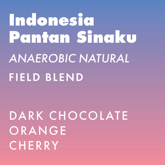 Indonesia Pantan Sinaku