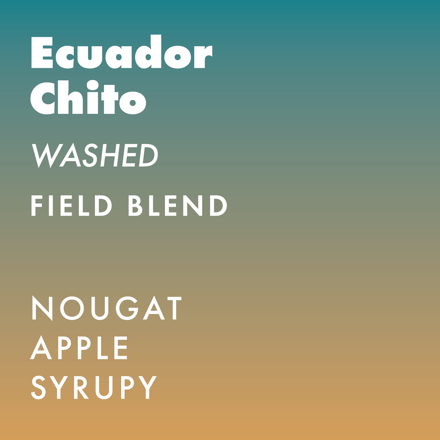 Ecuador Chito