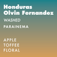 Honduras Olvin Fernandez