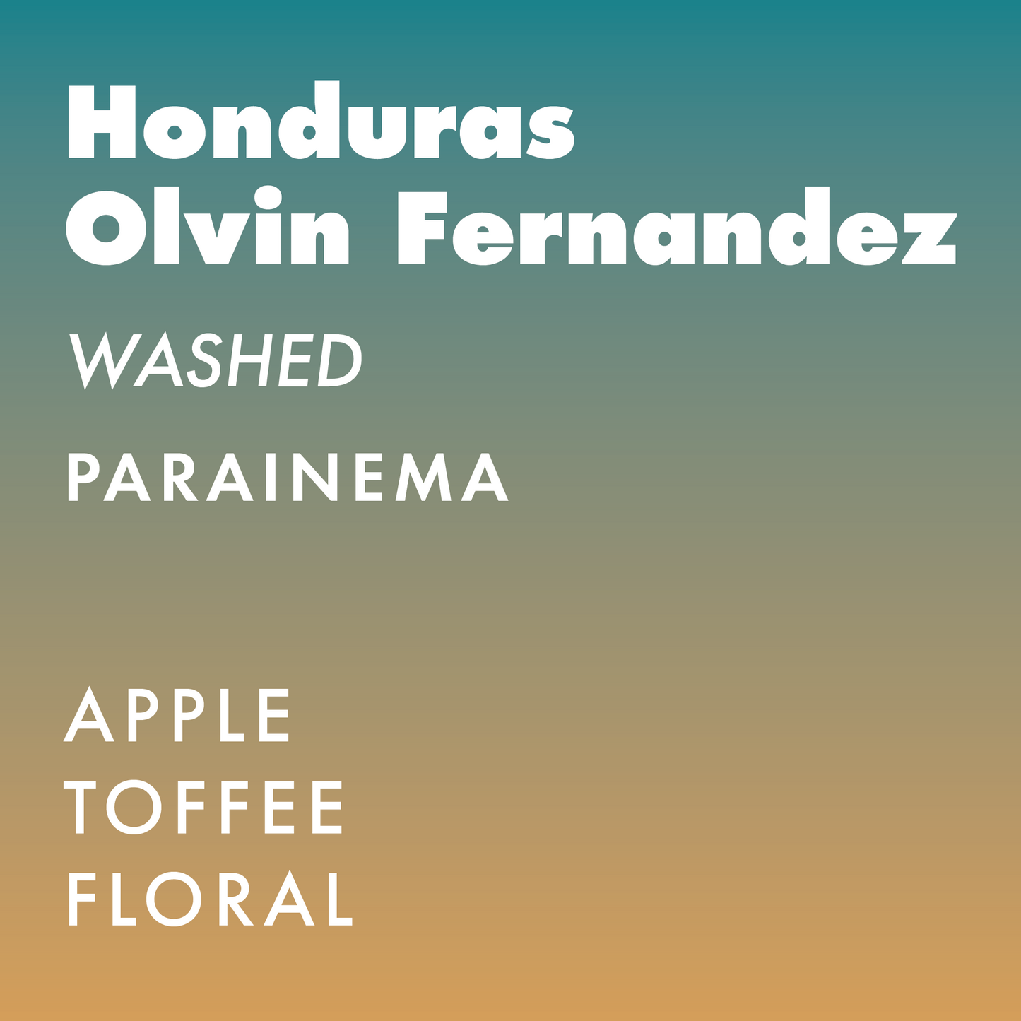 Honduras Olvin Fernandez