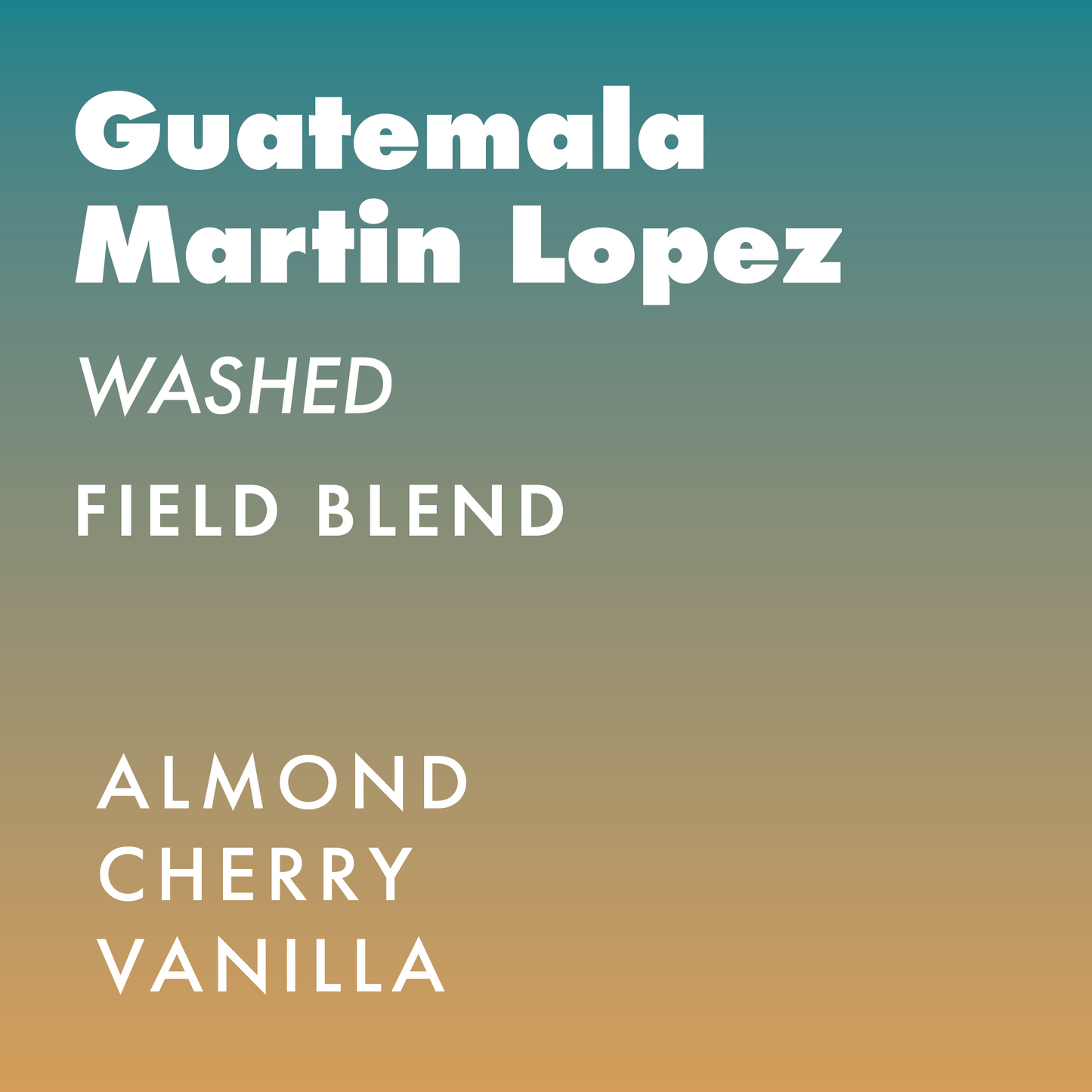 Guatemala Martin Lopez