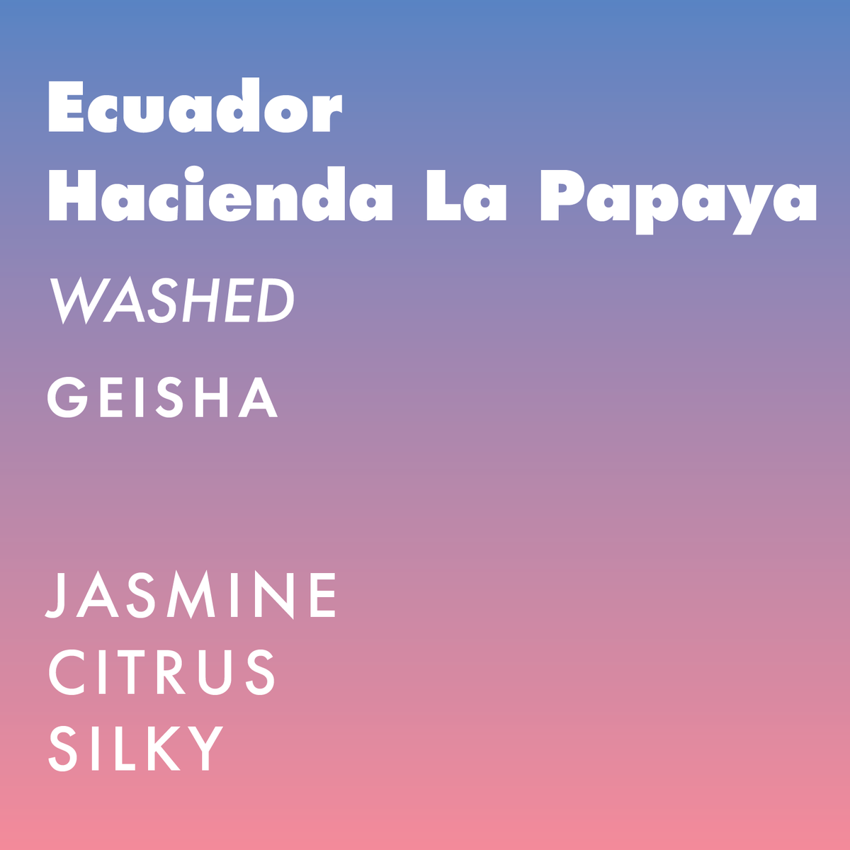 Ecuador Hacienda La Papaya - Geisha